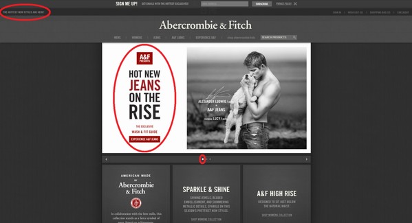 abercrombie & fitch usa website