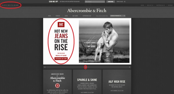 abercrombie fitch usa website access